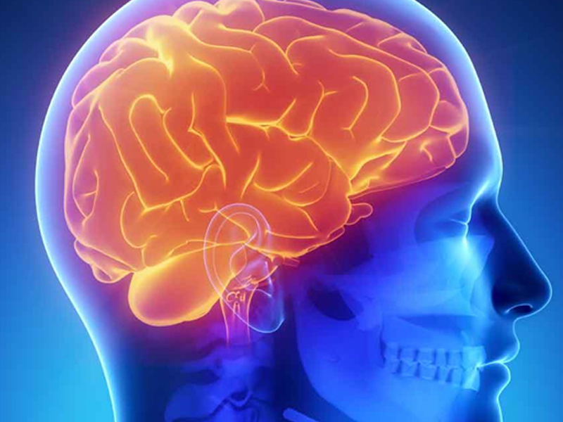 Ortopedia - NEUROCIRURGIA